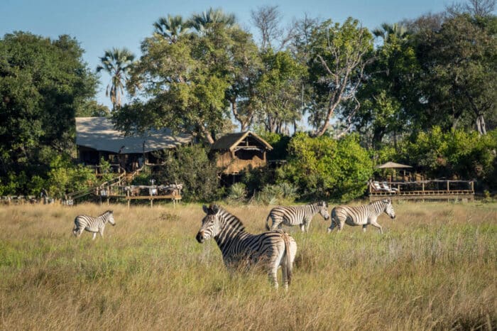 Cedarberg Travel | Little Tubu Camp